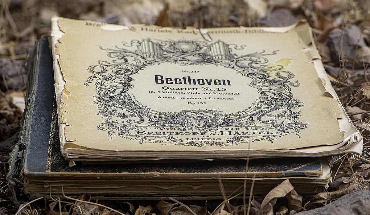 beethoven-gluhost